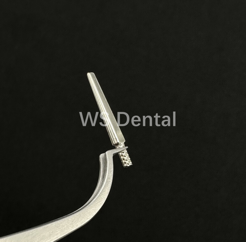 1000pcs Dental Lab Master Dowel Single Pins use with Pindex For Die Model Work