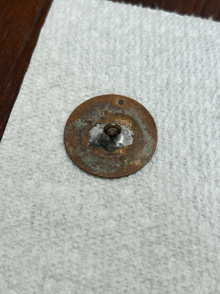 Antique Victorian Enamel Button 1” Diameter