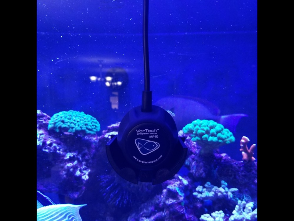 Ecotech Marine Vortech MP10 3D Printed Dry Side Support Mount