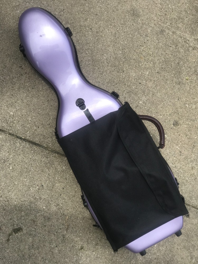 4/4 violin w/case