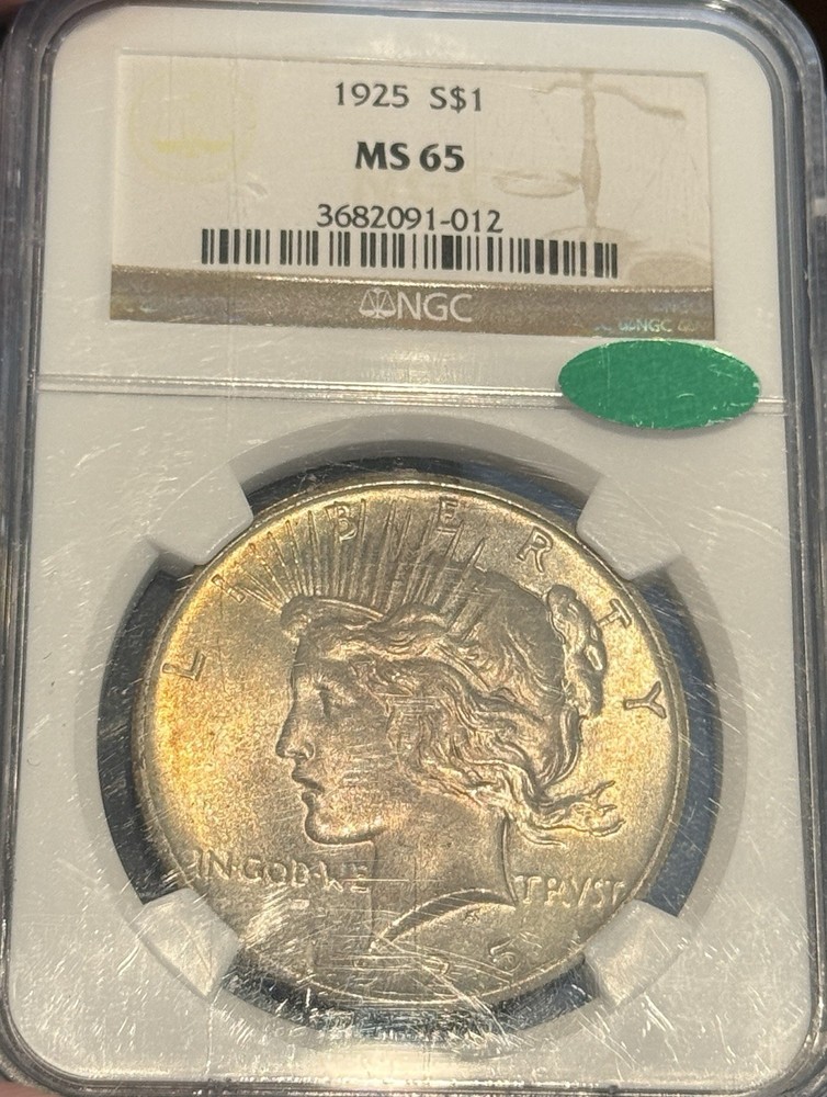 1925 MS65 NGC CAC Peace Dollar Toning PQ Nice Tough