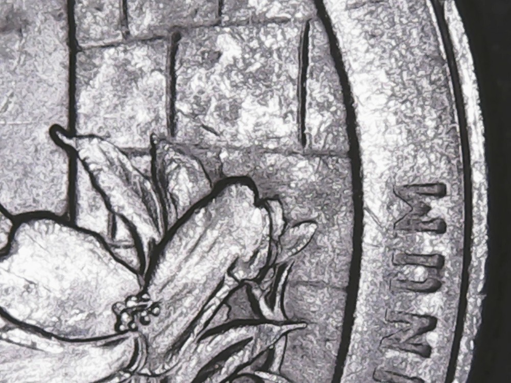 2015 P Blue Ridge Parkway ATB Quarter Die Chips Mint Error.