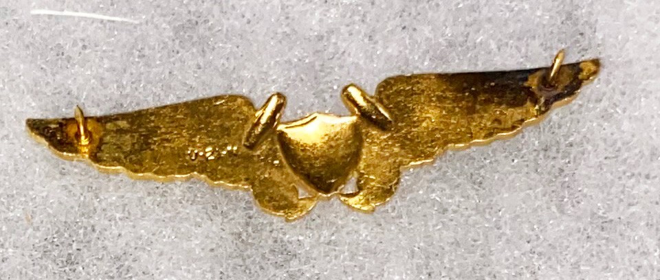 USN / USMC Navigator Wing