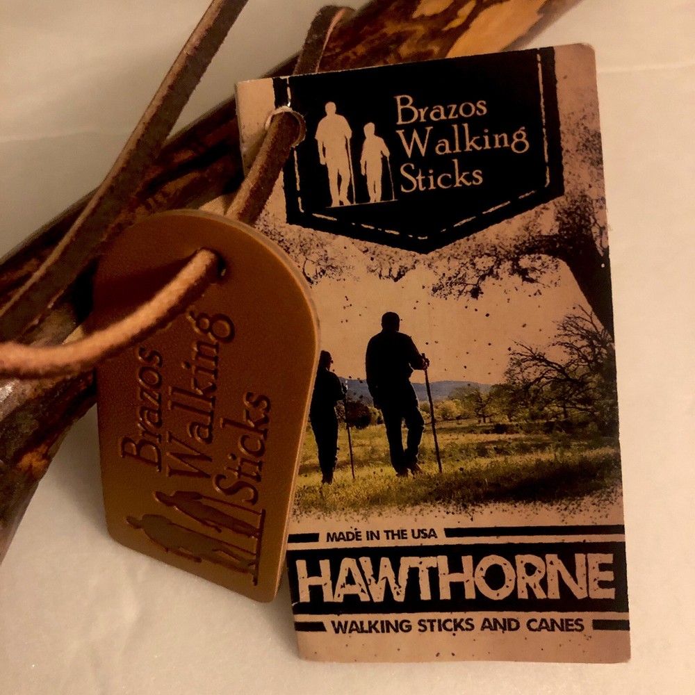 Exercise 3D Leg Brazos Walking Sticks Walking Pole