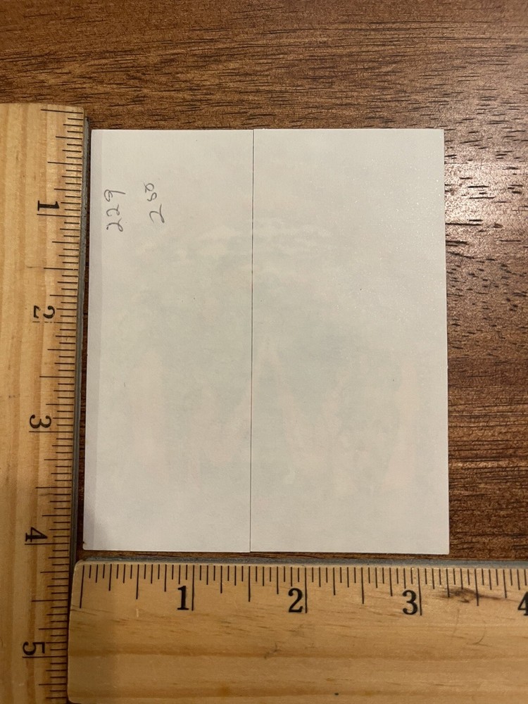 Vintage Grateful Dead Sticker Decal Co-Evolution Revolution Ralph Manis 1992