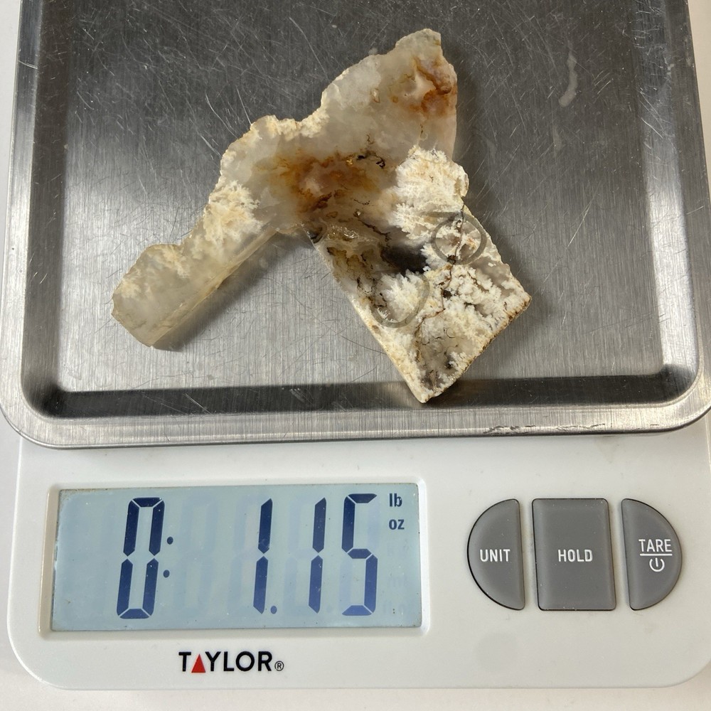 Stinking Water Plume Agate Lapidary Slab