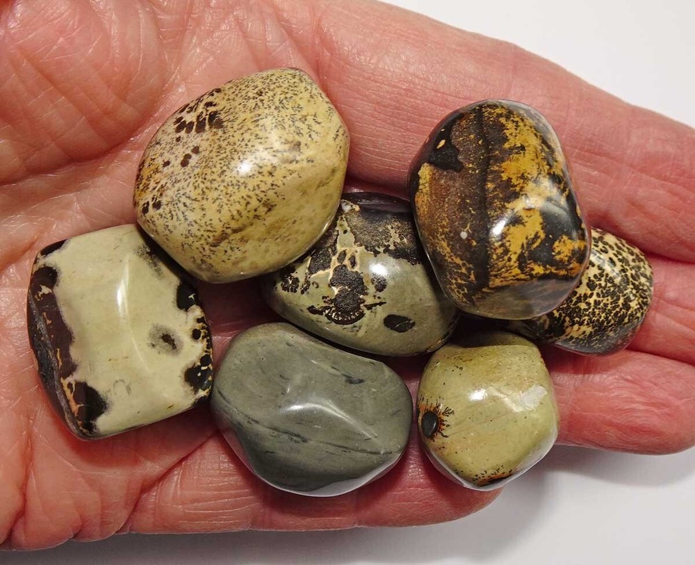 Scenic Jasper - 7 Tumbled Stones rtsjasp2