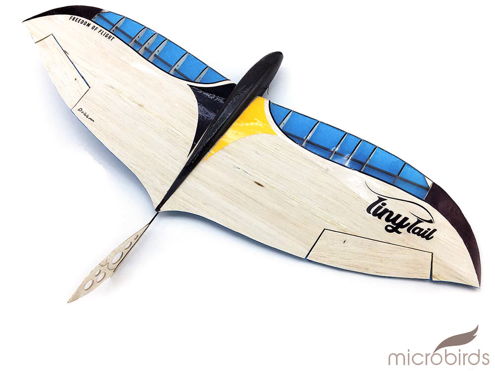 Tiny Tail 2Ch RC Radio Control Glider Air Plane Kit Free Flight Bungee Launch