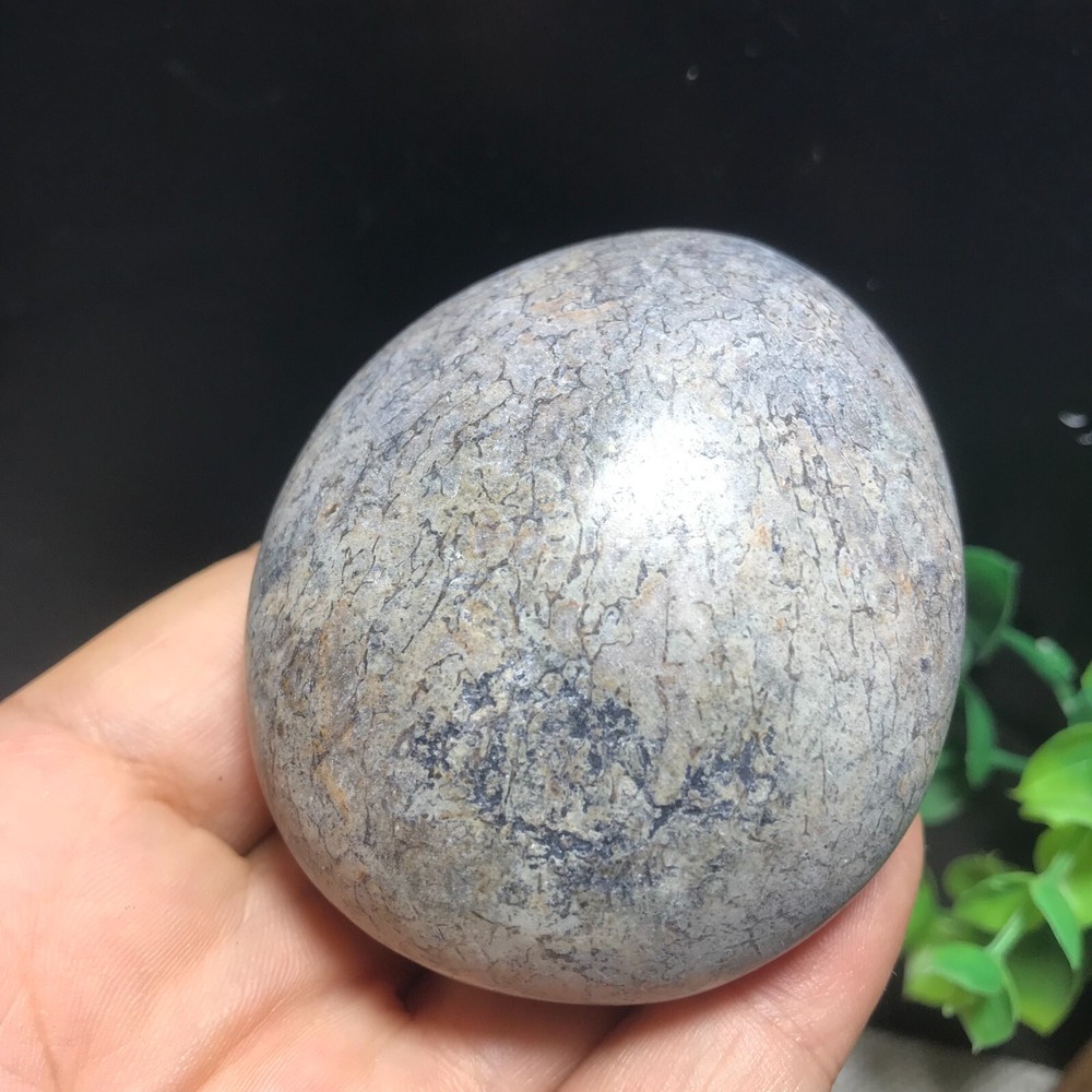 148g polished dinosaur bone specimen Madagascar 10