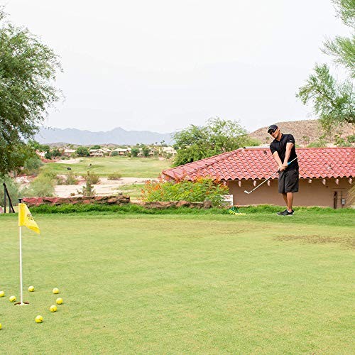 Golf Chip Stick Training Aid | Swing Plane Trainer Provides Instant Feedback
