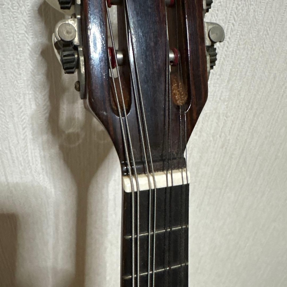 Raffaele Terada Musical Instruments High End Mandolin RM-3 String Guitar
