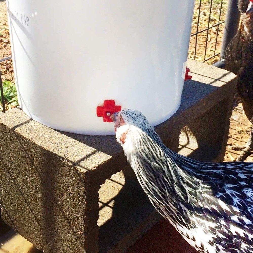 40 Pack Chicken Waterer Nipples - Leakproof Poultry System