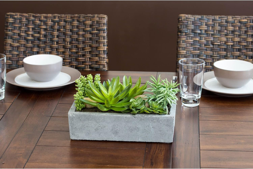 Succulent Garden with Concrete Planter