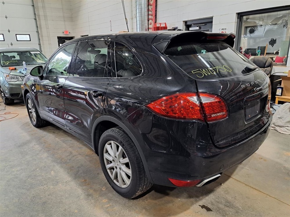 2011 Cayenne Jack Sku#4264807