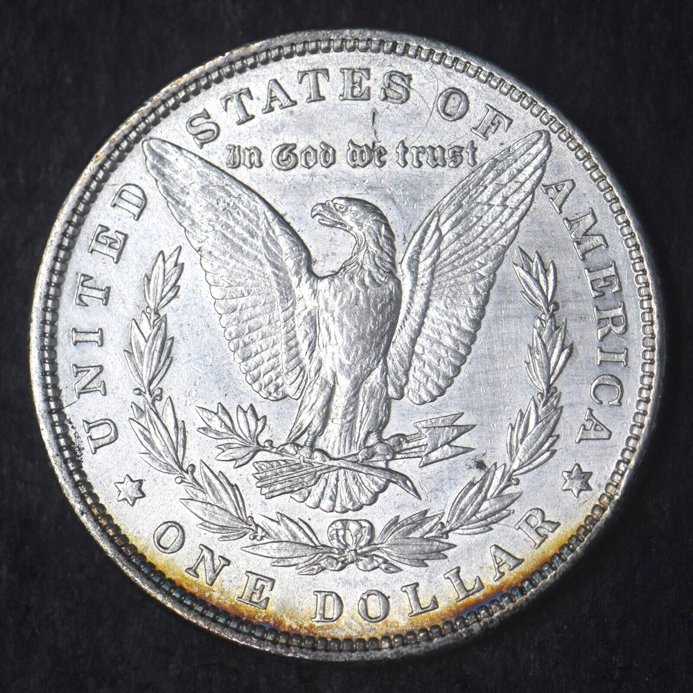 1879-P "High Grade" Morgan Silver Dollar $1 - COINGIANTS -