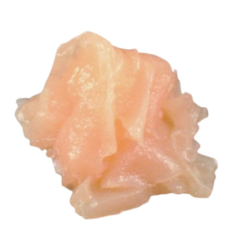 Display Fake Food Prop Pickled Ginger