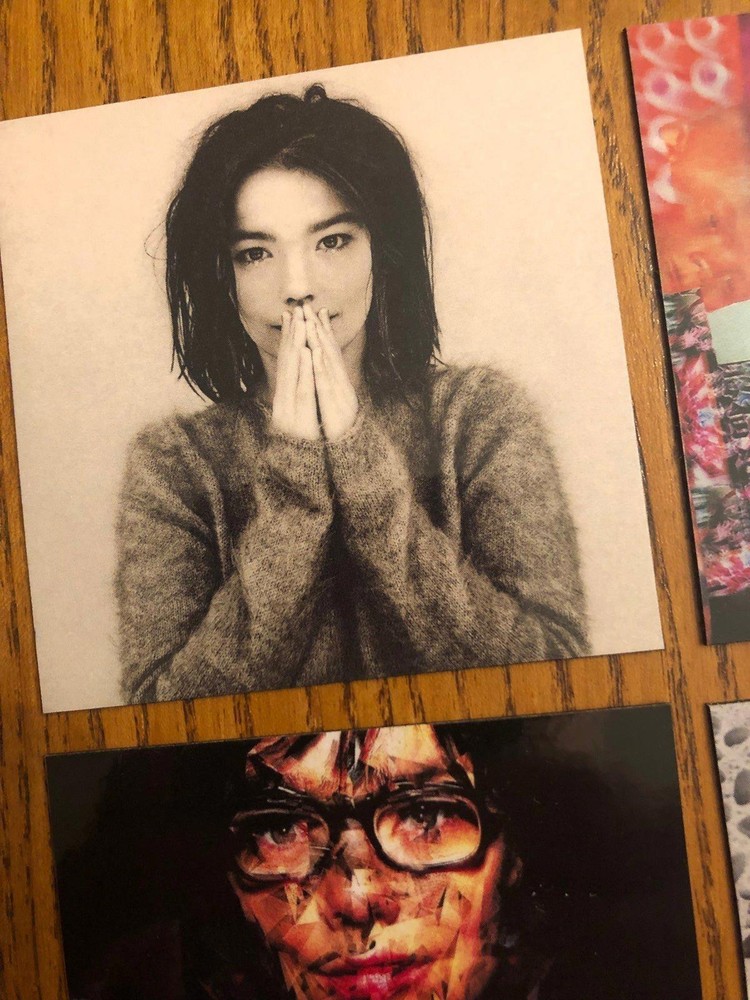 Bjork fridge magnets