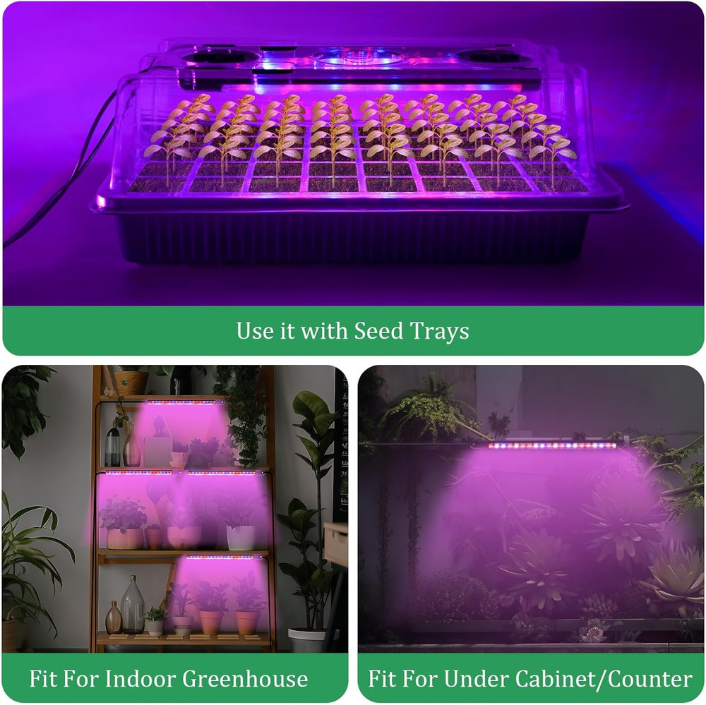 Professional Seed Starter Kit with Grow Light, Humidity Dome, and Timer