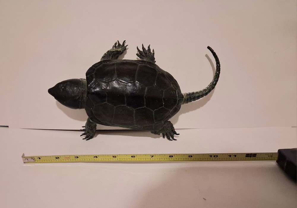 AAA Realistic PVC Big Headed/Snapping Turtle
