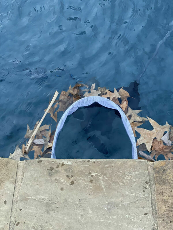 Pool Skimmer Shield Protective Spring Action Net System Leaf Protection