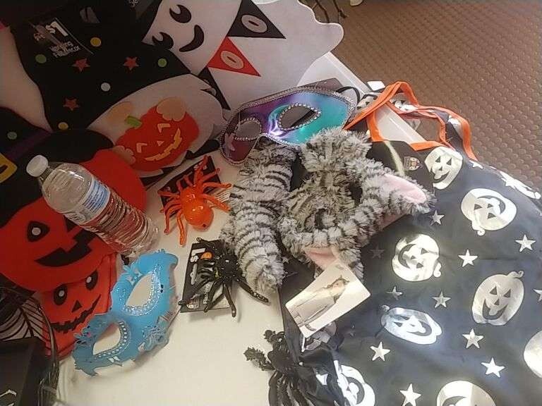 Halloween Lot Assorted Décor - 249