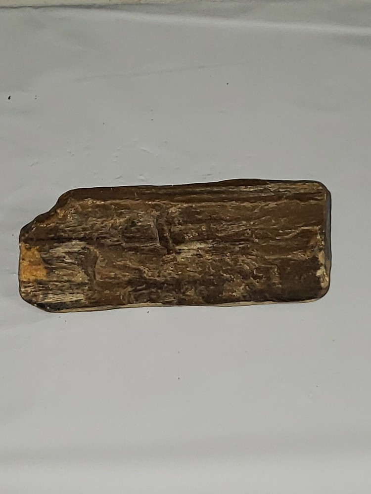 Petrified wood 4.5 inches long