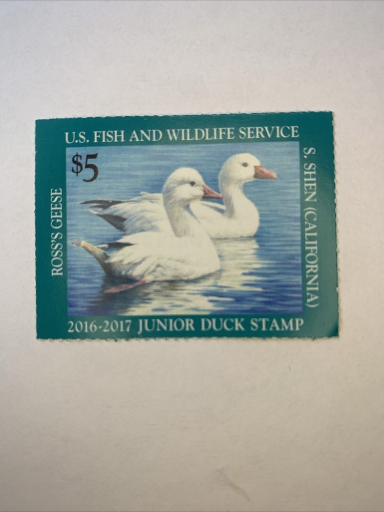 JDS24 - 2016 Junior Duck Stamp, MNHOG. 4