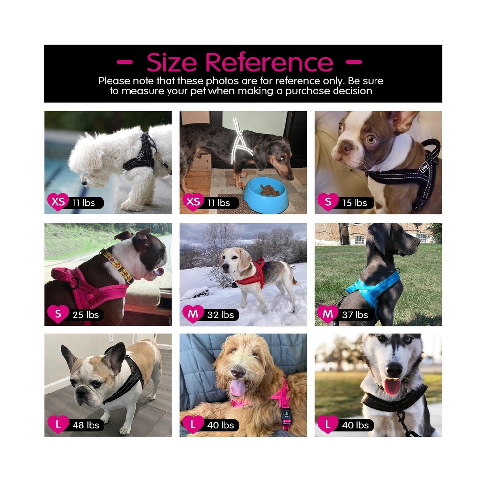 Didog No Pull Dog Harness with Breathable Mesh Padded, Full Ref... FAST USA SHIP