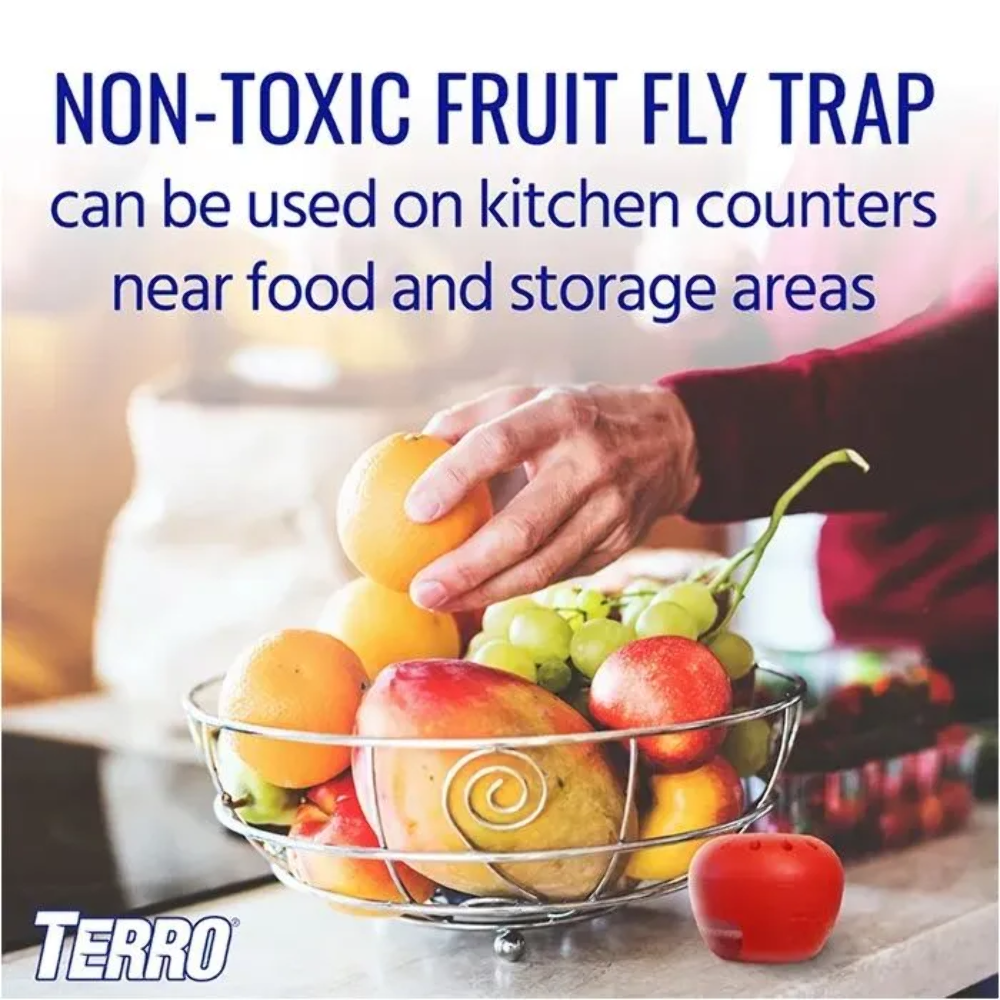 TERRO® Fruit Fly Trap, 2pk
