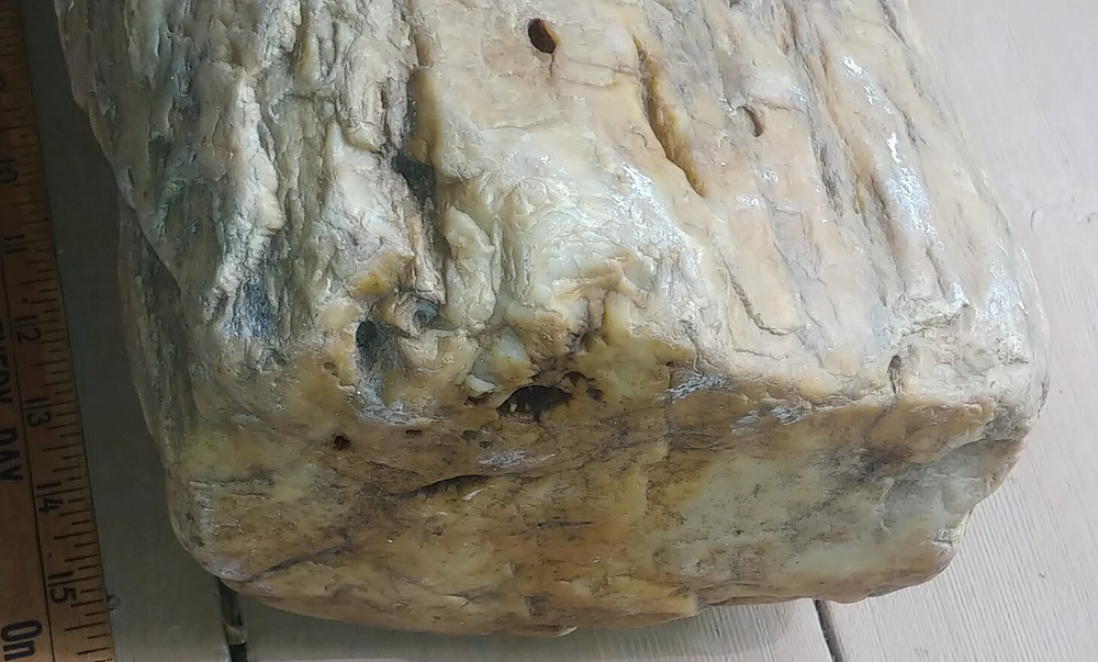 Petrified Wood or Rock