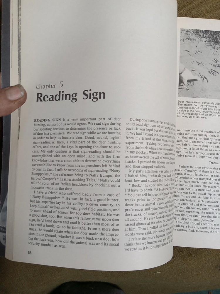 Successful Deer Hunting