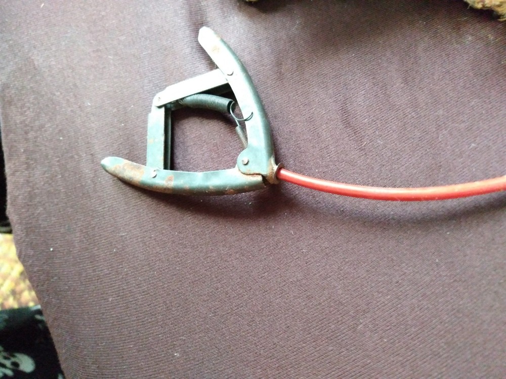 VINTAGE PULL DOG TOY