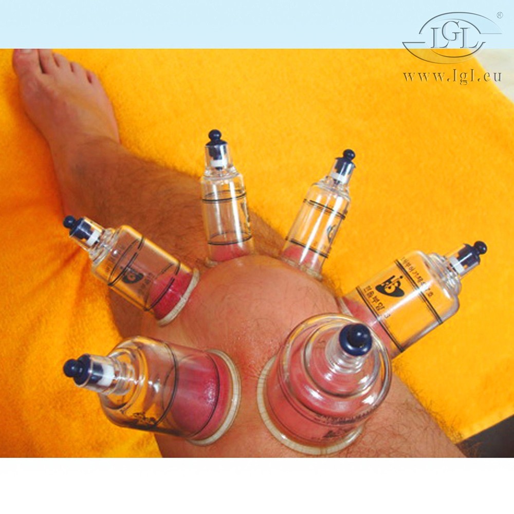 Hansol Professional Cupping Therapy Equipment Set with pumping handle 19 Cups