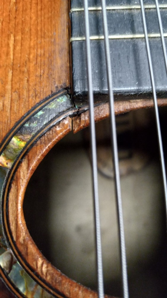 Marshall Field & Co Luxton Chicago Mandolin (READ DESCRIPTION)