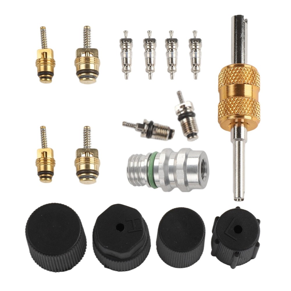 Complete AC Valve Core Kit for R12 For R134a Systems with Installation Tools