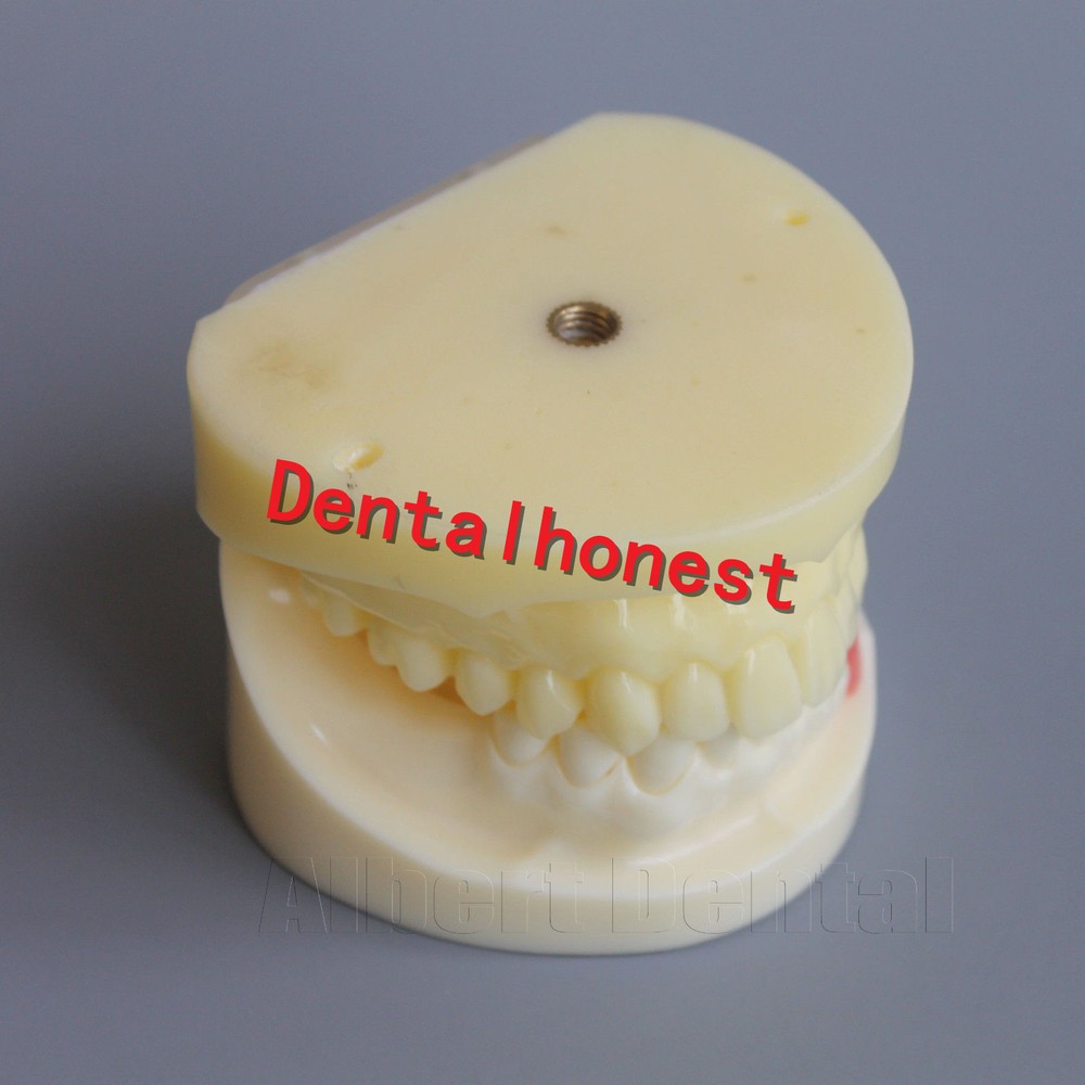 Great Dental Full Implant Drilling Practice Teeth Study Model Typodont Model