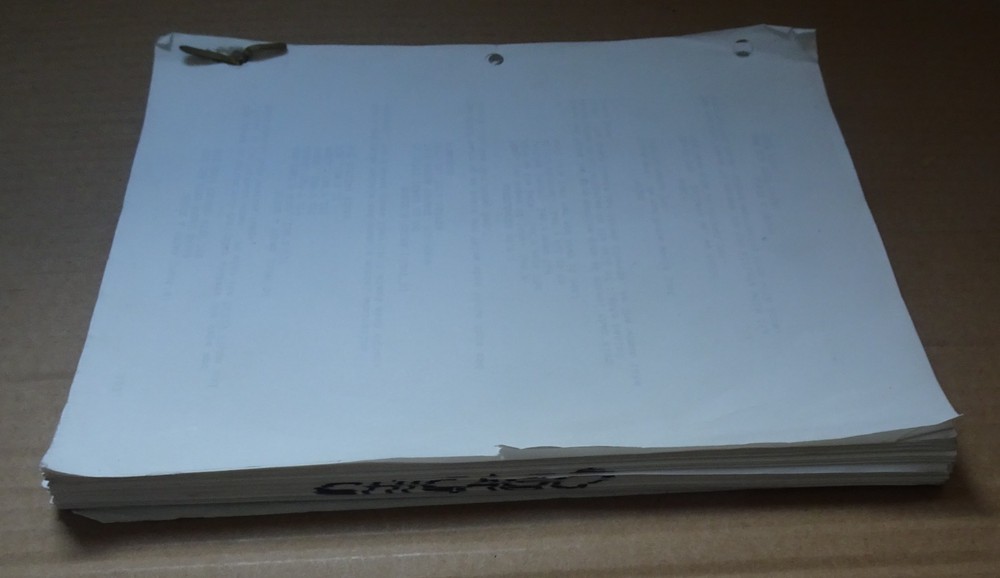 Chicago 2002 Musical Screenplay Full Script by Bill Condon