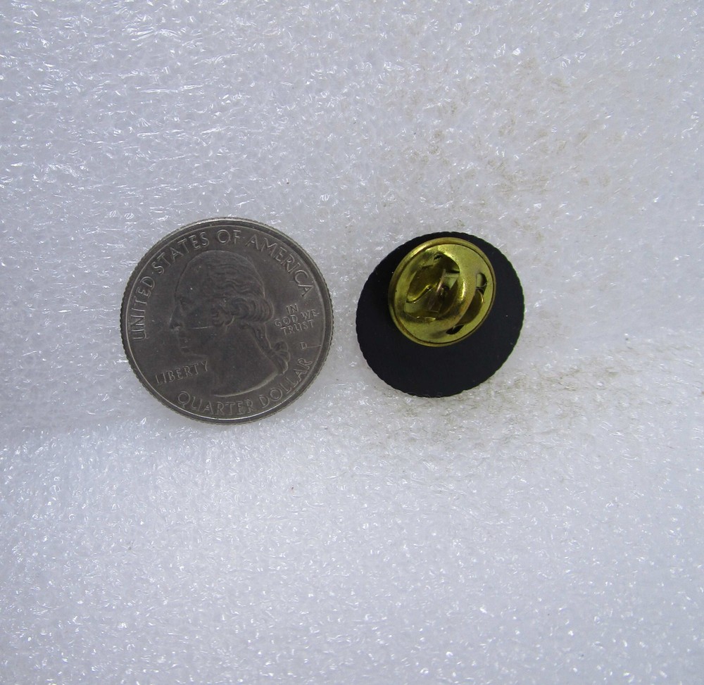 Treasurer Of State Washington Plastic Pin