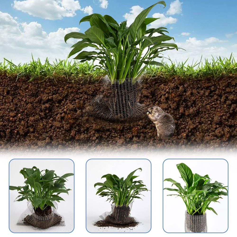 Root Guard Gopher Proof Wire Basket Mole and Vole Mesh 5 Gallon, Silver