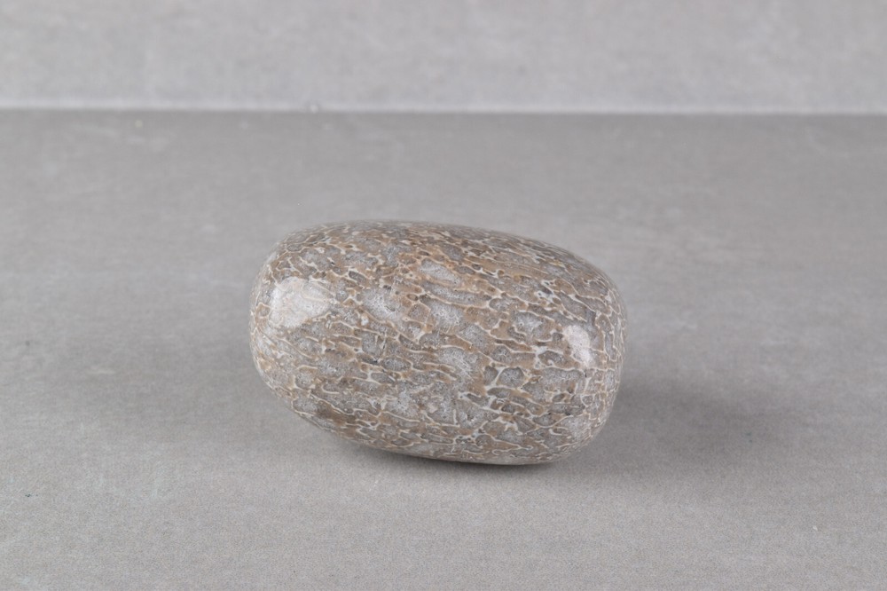 Dinosaur Bone Polished from Morocco 4.2 cm # 19756