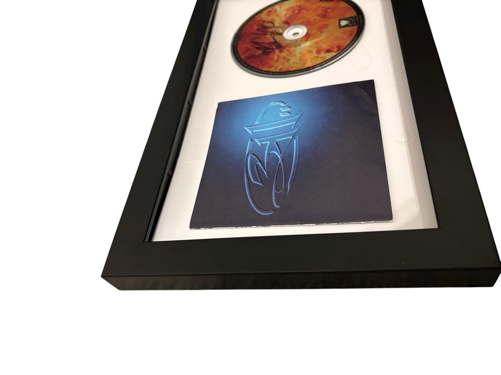NICK HEXUM 311 SIGNED AUTOGRAPH BLUE ST FRAMED MATTED CD w/ EXACT PROOF JSA COA