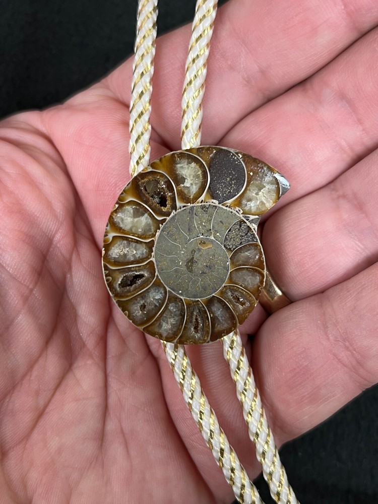 Ammonite Madagascar Western Bolo Tie