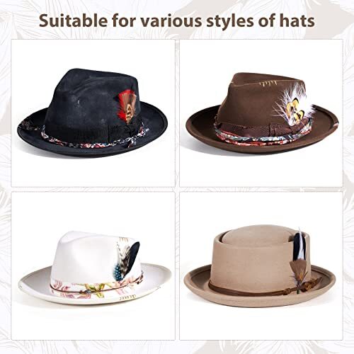 Hat Feathers, Assorted Natural Feather Packs Accessories for Fedora 11 Pcs