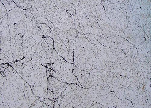 Webbing Solution for Gelcoat (Pint)