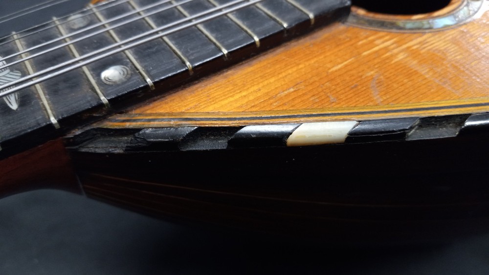 Marshall Field & Co Luxton Chicago Mandolin (READ DESCRIPTION)