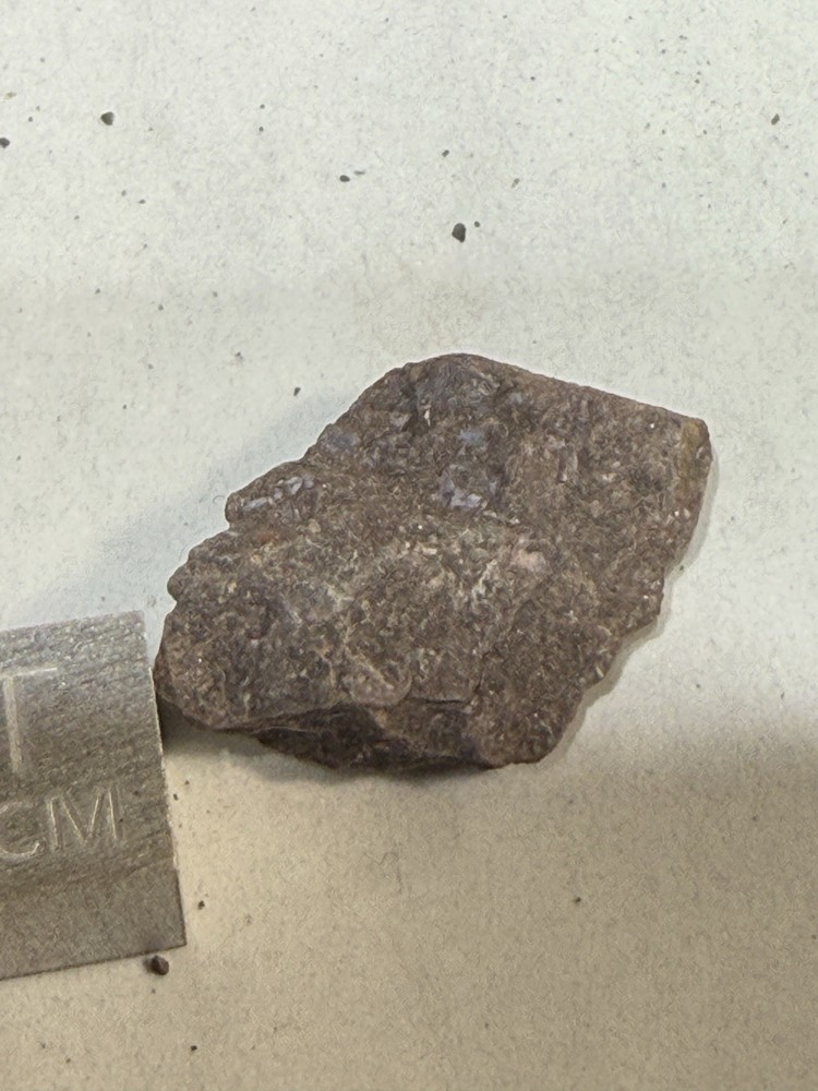 Fossil Placoderm Pieces