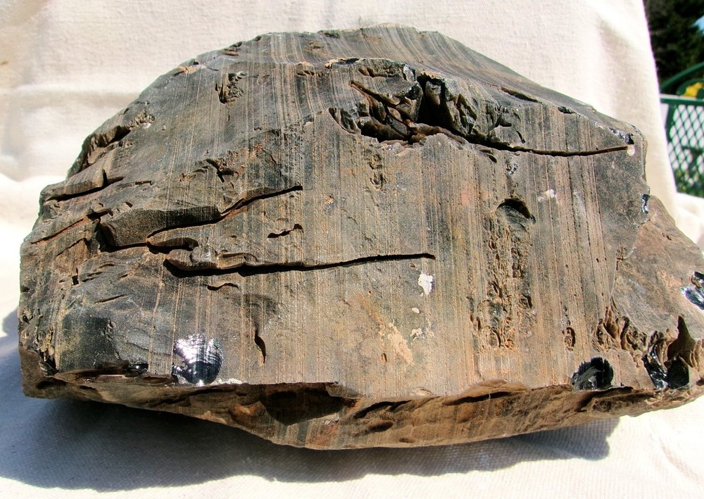 Rainbow Obsidian Lapidary Rough for Cabbing 39.15 Lbs. Mexico