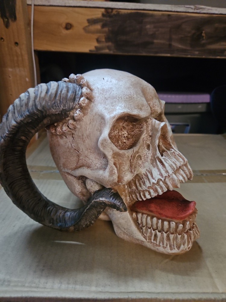 Skull With Ram Horns Decoration