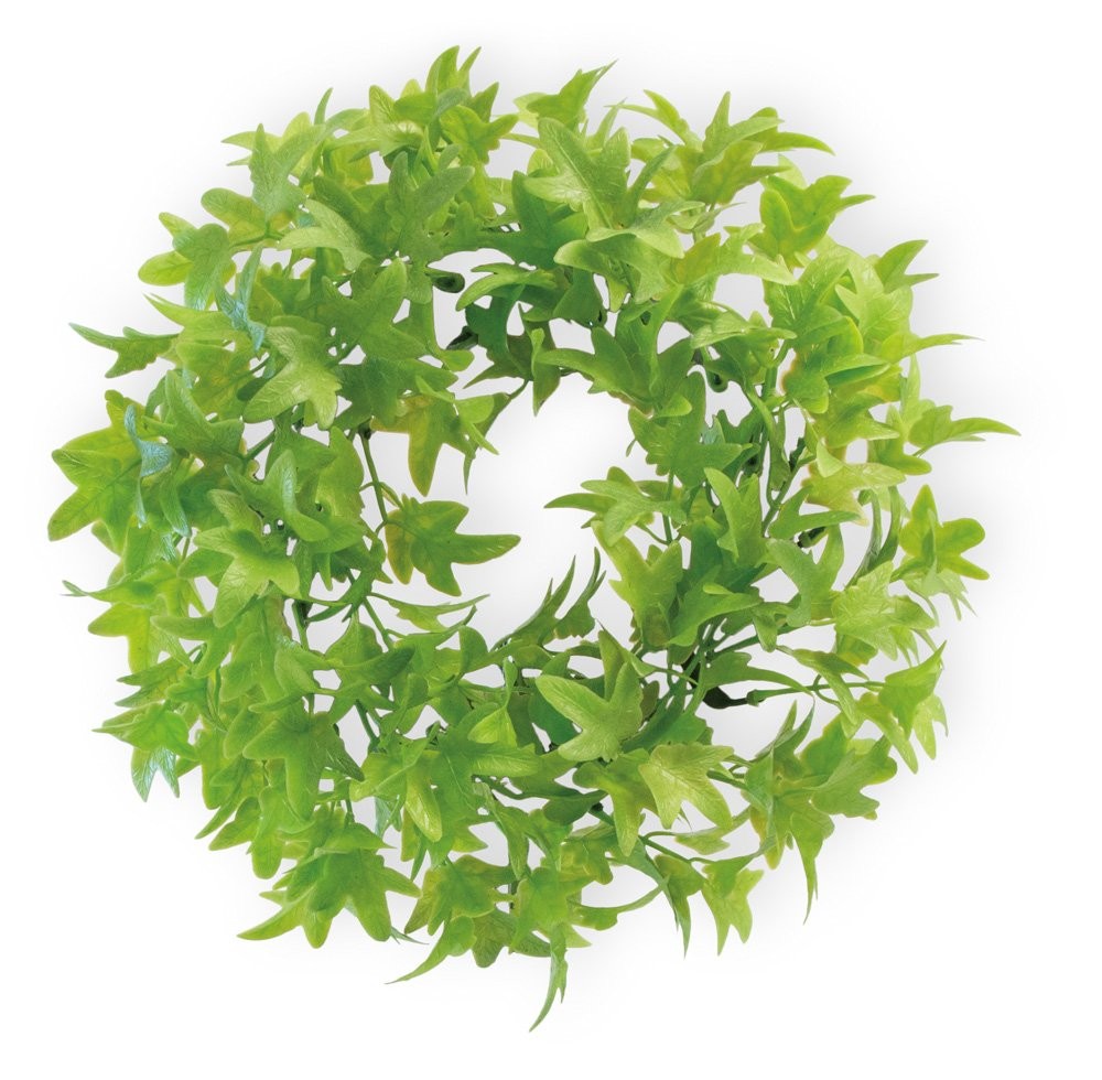 Decorative Ivy Wreath, 9-Inches, Green