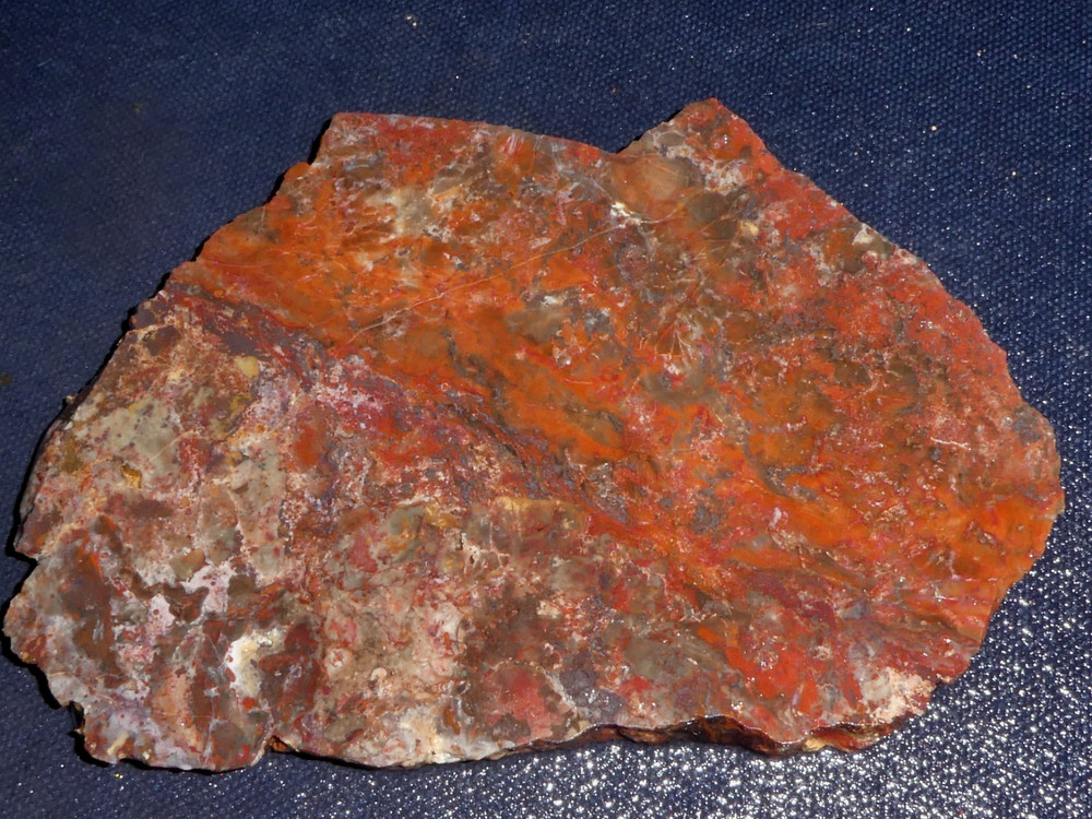 UNKNOWN JASPER SLAB 5 " x 3 3/8" - rough- cabbing - display